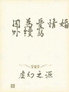因为爱情婚后番外续写