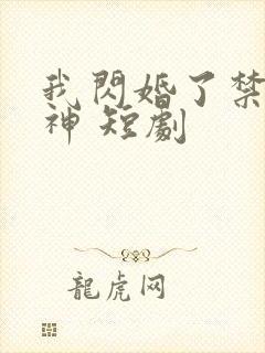 我闪婚了禁欲男神 短剧