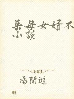 岳母女婿不好当小说