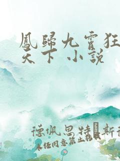 凤归九霄狂妃逆天下 小说