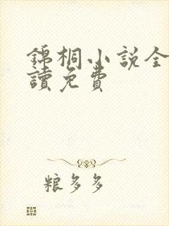 锦桐小说全文阅读免费