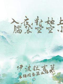 入夜,对她上瘾 脑袋空空小说