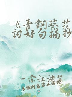 《青铜葵花》好词好句摘抄大全