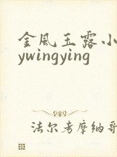 金风玉露小说bywingying
