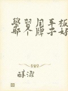 学习用平板电脑哪个牌子好用又实惠