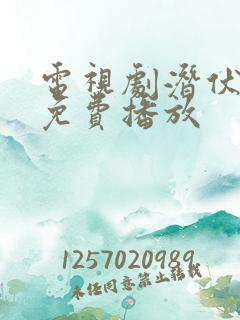 电视剧潜伏全集免费播放