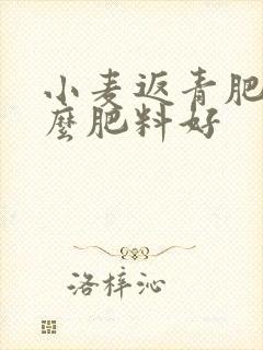 小麦返青肥用什么肥料好