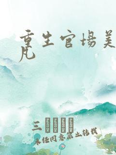 重生官场美人徐凡