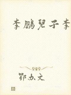 李鹏儿子李晓朋