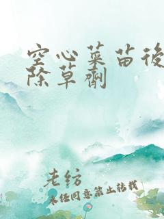 空心菜苗后专用除草剂
