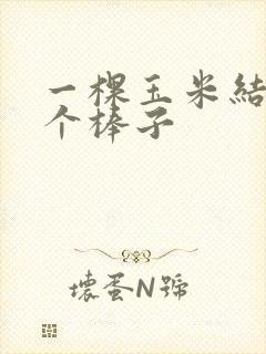 一棵玉米结五六个棒子