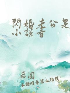 闪婚老公是大佬小说看