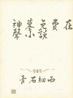 神墓免费在线有声小说
