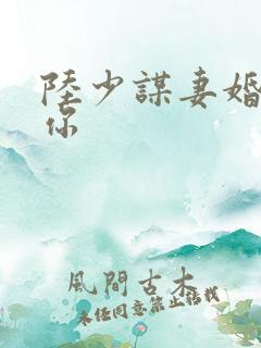 陆少谋妻婚不由你