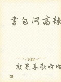 书包网高辣文