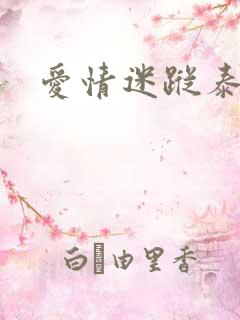 爱情迷踪泰剧