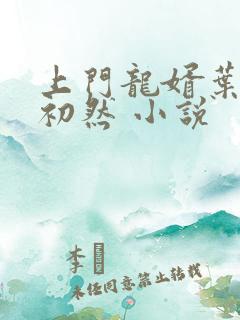 上门龙婿叶辰萧初然 小说