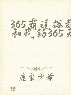 365霸道总裁和我的365天