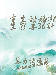 重生甜婚:纪先生宠妻36计