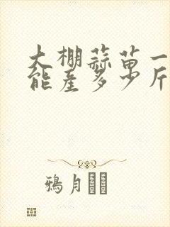大棚蒜苗一亩地能产多少斤