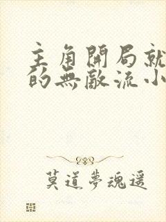 主角开局就满级的无敌流小说