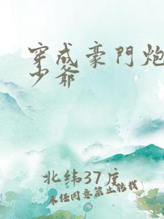 穿成豪门炮灰小少爷