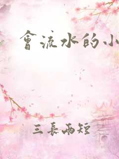 会流水的小说