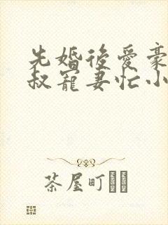 先婚后爱豪门大叔宠妻忙小说