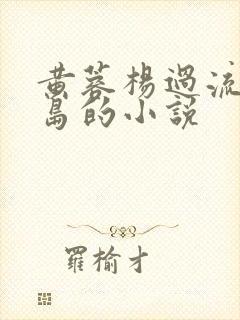 黄蓉杨过流落荒岛的小说