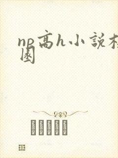 np高h小说校园