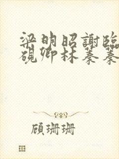 梁明昭谢临风沈砚卿林蓁蓁小说在线阅读