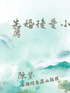 先婚后爱小说推荐