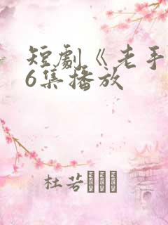 短剧《老手》36集播放