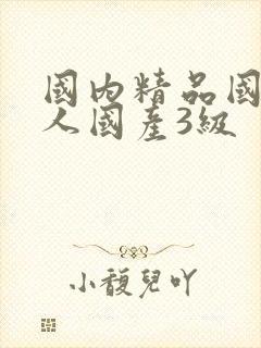 国内精品国产成人国产3级