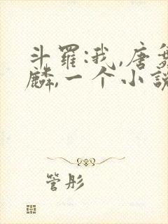 斗罗:我,唐舞麟,一个小说家