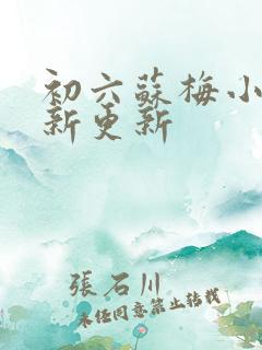 初六苏梅小说最新更新 初六苏梅小说最新更新