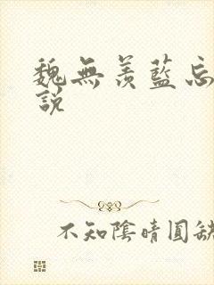 魏无羡蓝忘机小说