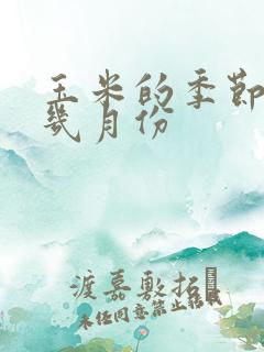 玉米的季节性是几月份