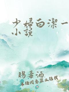 少妇白洁一样的小说
