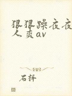 狠狠躁夜夜躁人人爽av