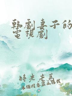 韩剧妻子的秘密电视剧