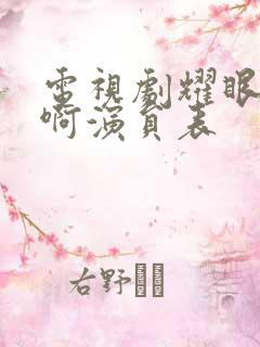电视剧耀眼的你啊演员表