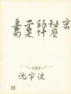 妻子的秘密大结局是什么