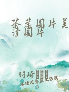茶叶图片美图高清图片