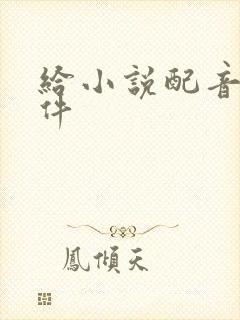 给小说配音的软件
