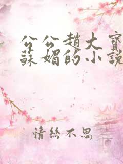 公公赵大宝儿媳苏媚的小说
