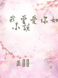 我曾爱你如尘埃 小说
