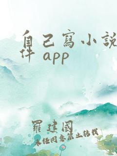 自己写小说的软件 app