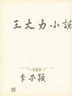 王大力小说