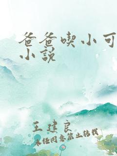 爸爸吃小可奶水小说